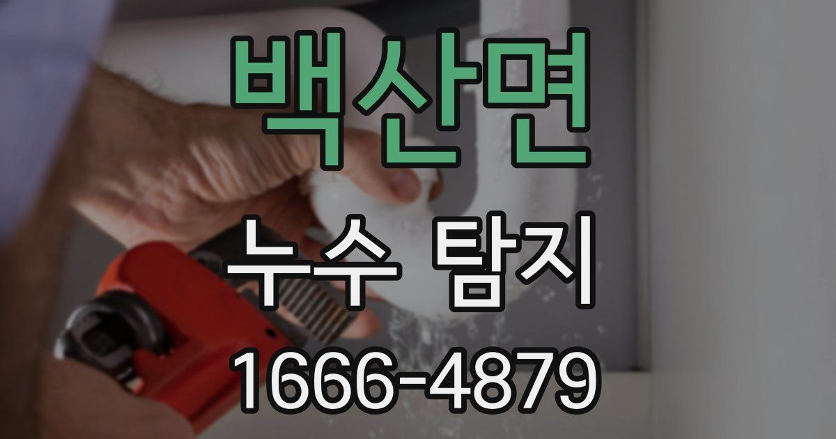 백산면 누수 탐지