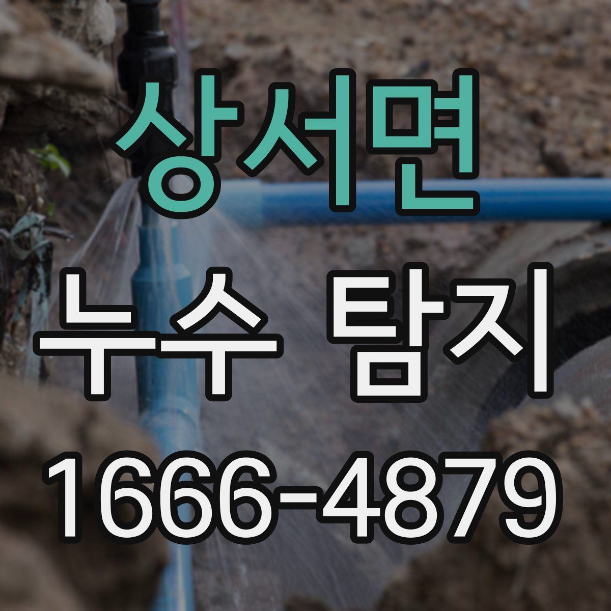 상서면 누수 탐지