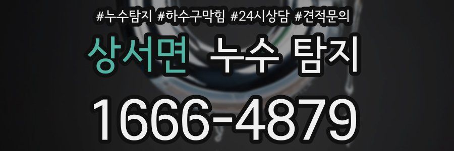 상서면 누수 탐지