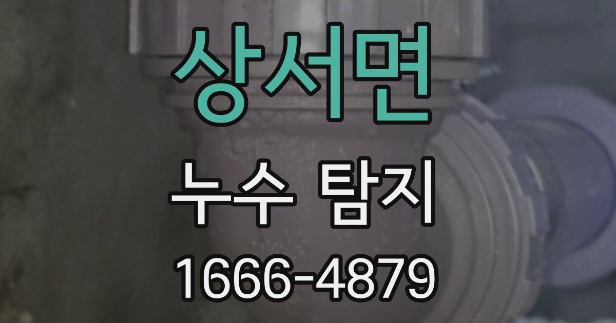 상서면 누수 탐지