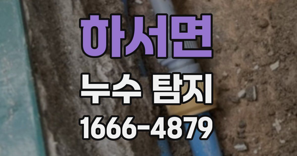 하서면 누수 탐지