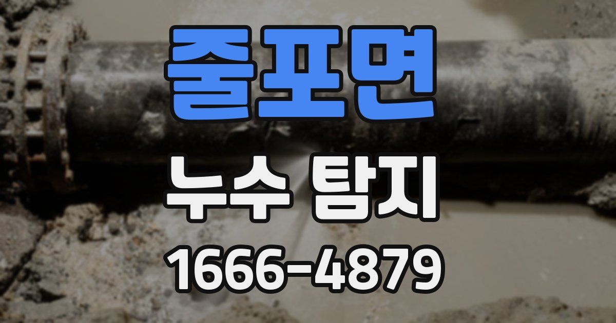 줄포면 누수 탐지