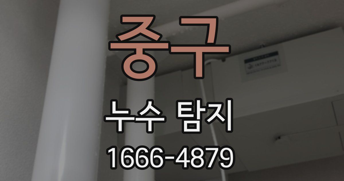 중구 누수 탐지