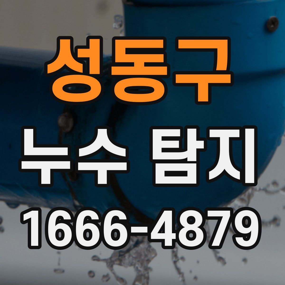 성동구 누수 탐지
