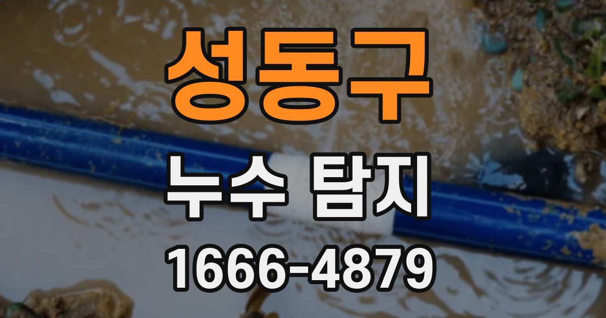 성동구 누수 탐지