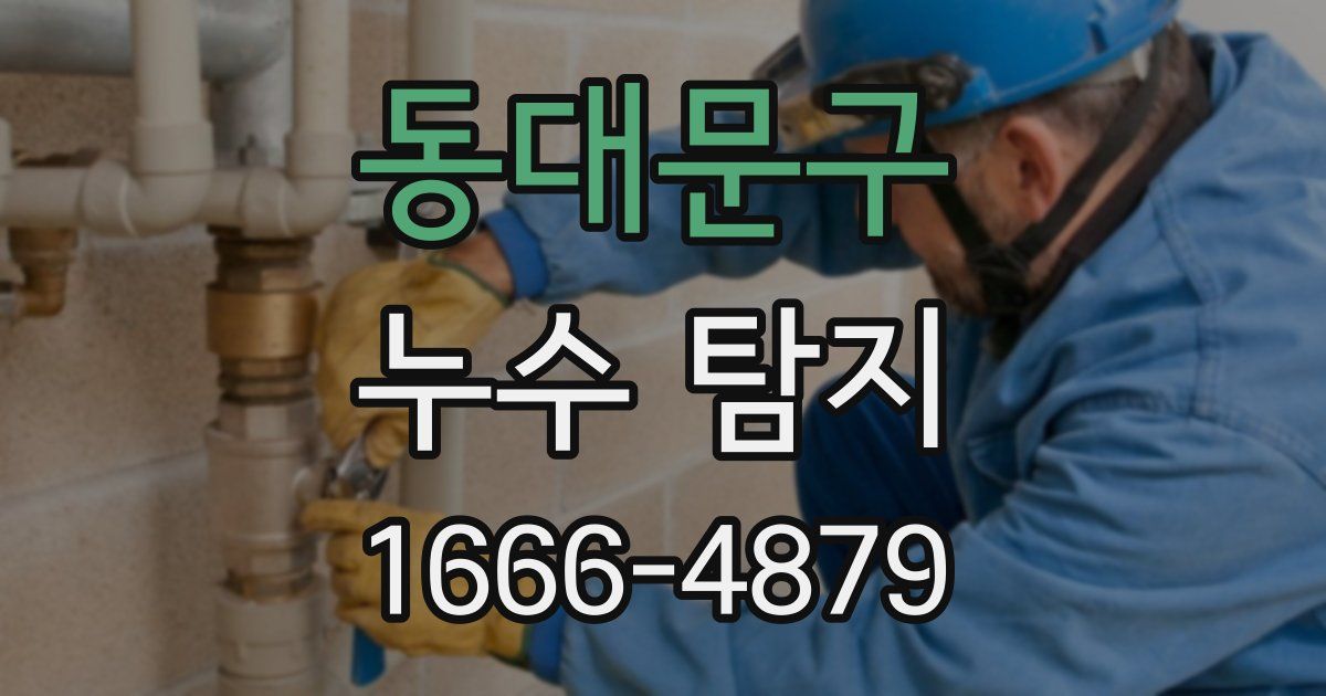 동대문구 누수 탐지