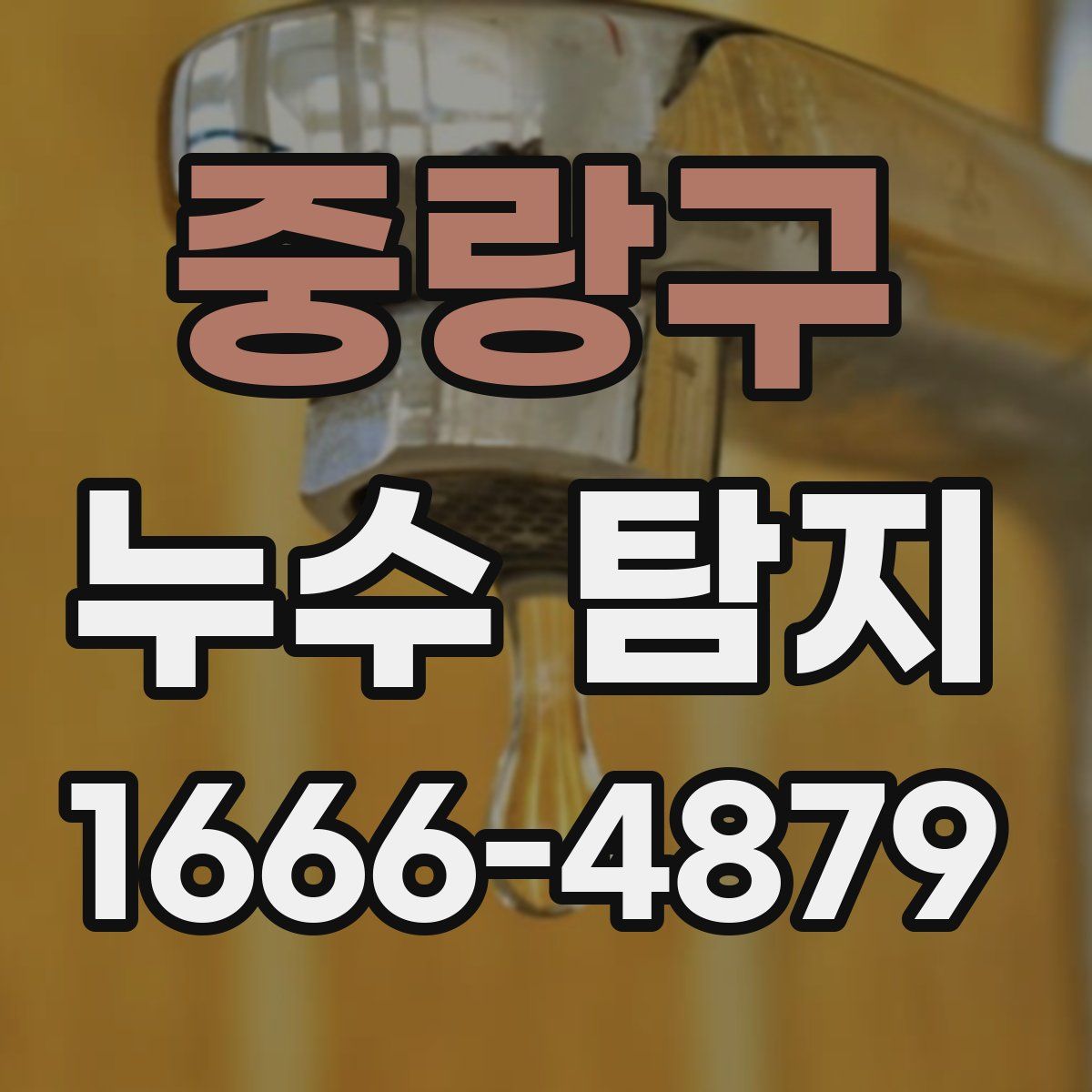 중랑구 누수 탐지