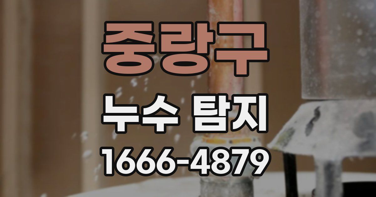 중랑구 누수 탐지