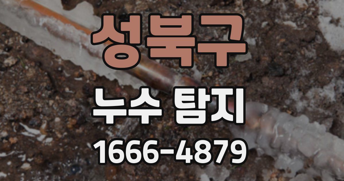 성북구 누수 탐지
