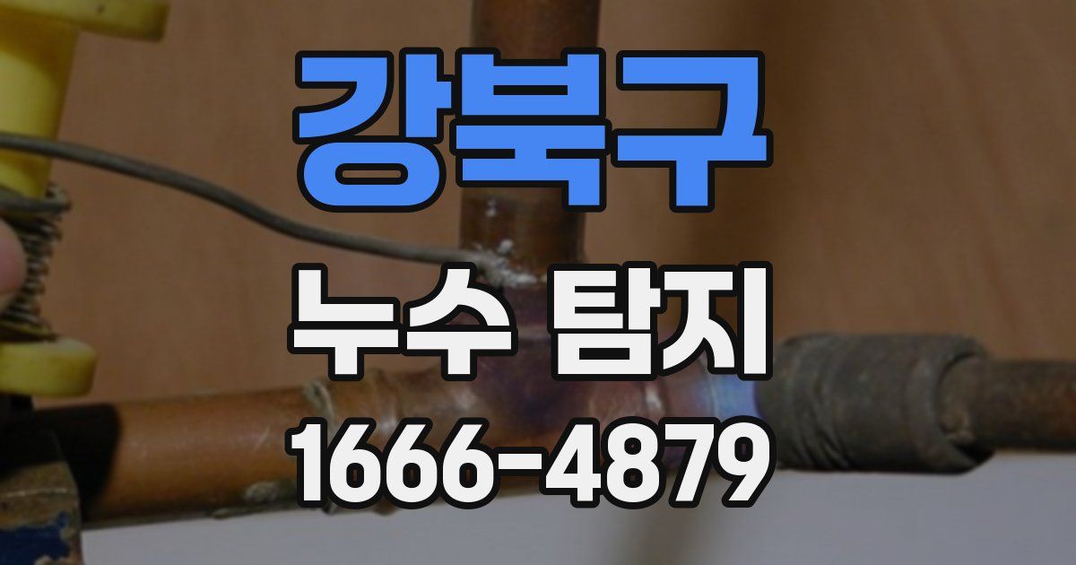 강북구 누수 탐지