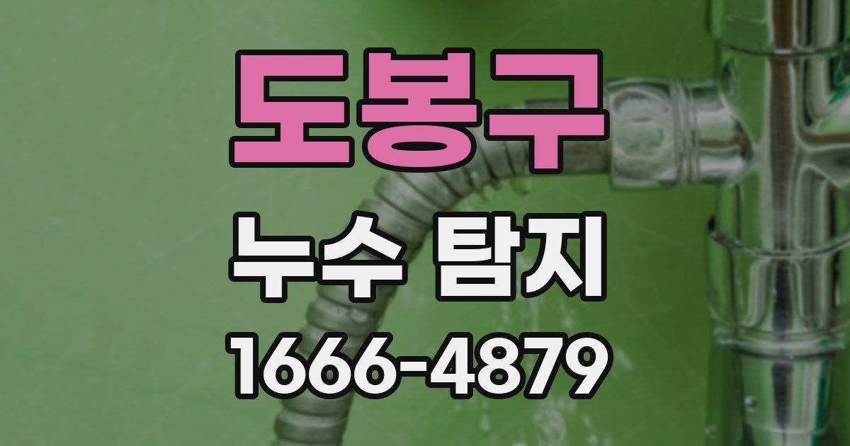 도봉구 누수 탐지