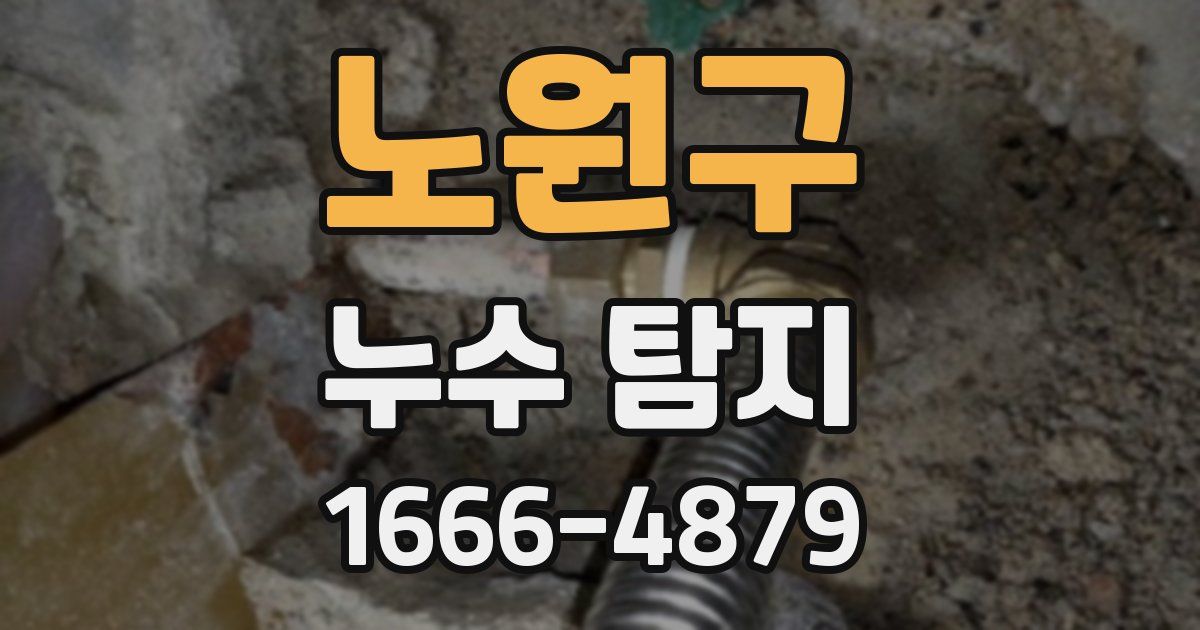 노원구 누수 탐지