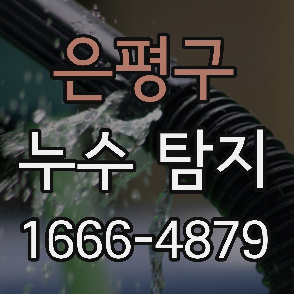 은평구 누수 탐지