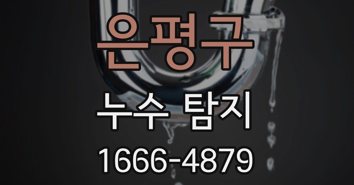 은평구 누수 탐지
