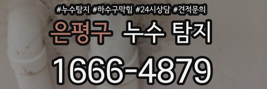 은평구 누수 탐지