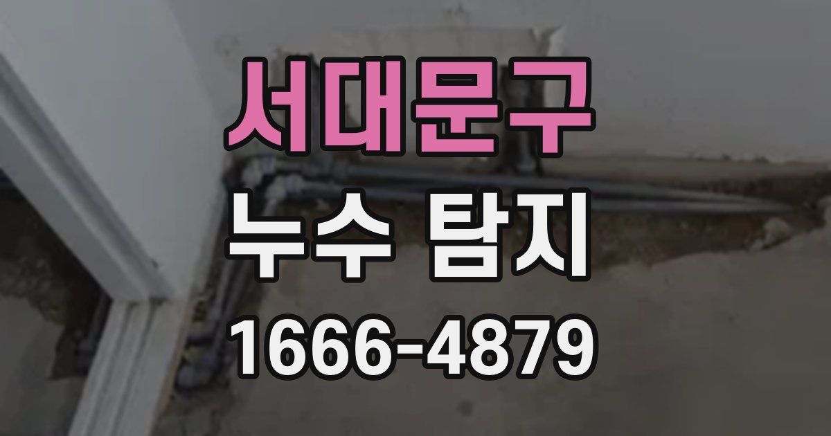 서대문구 누수 탐지