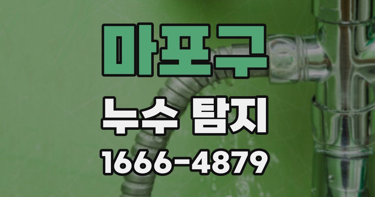 마포구 누수 탐지