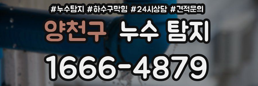 양천구 누수 탐지