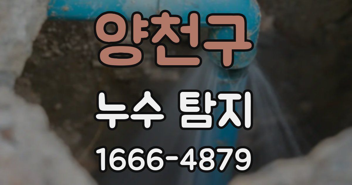 양천구 누수 탐지