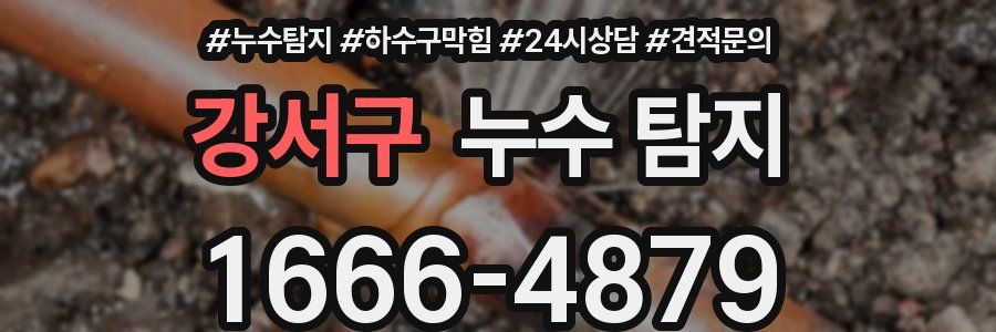 강서구 누수 탐지