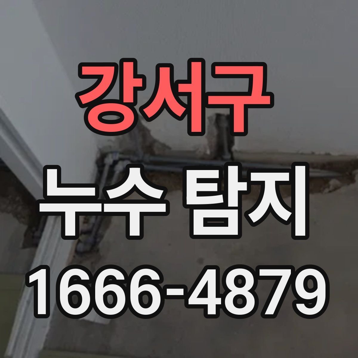 강서구 누수 탐지