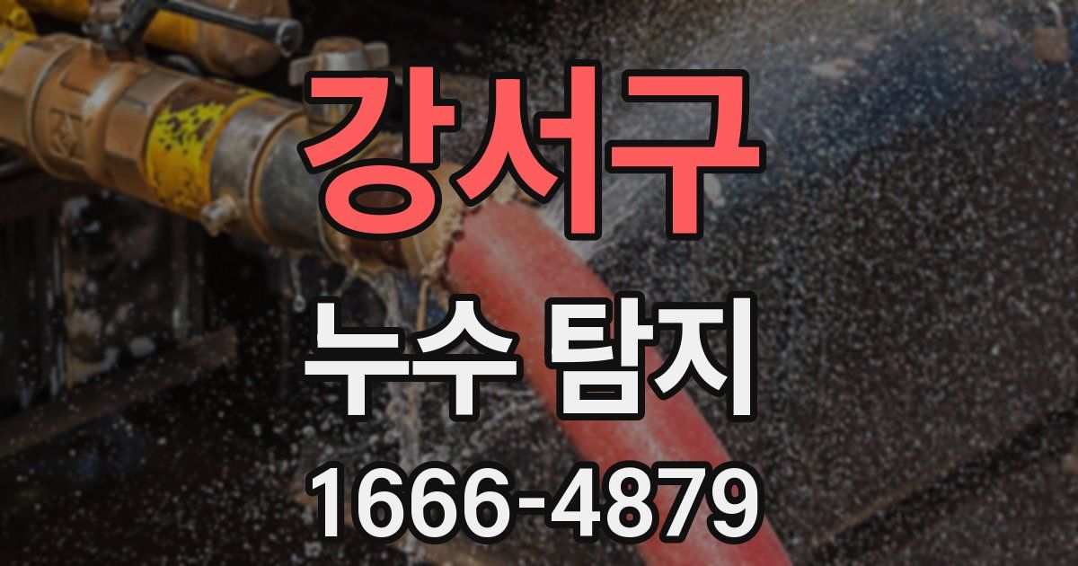 강서구 누수 탐지