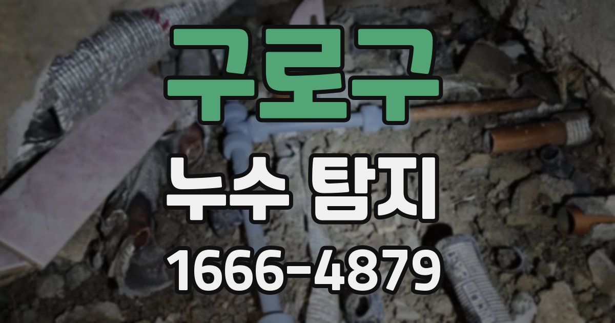 구로구 누수 탐지