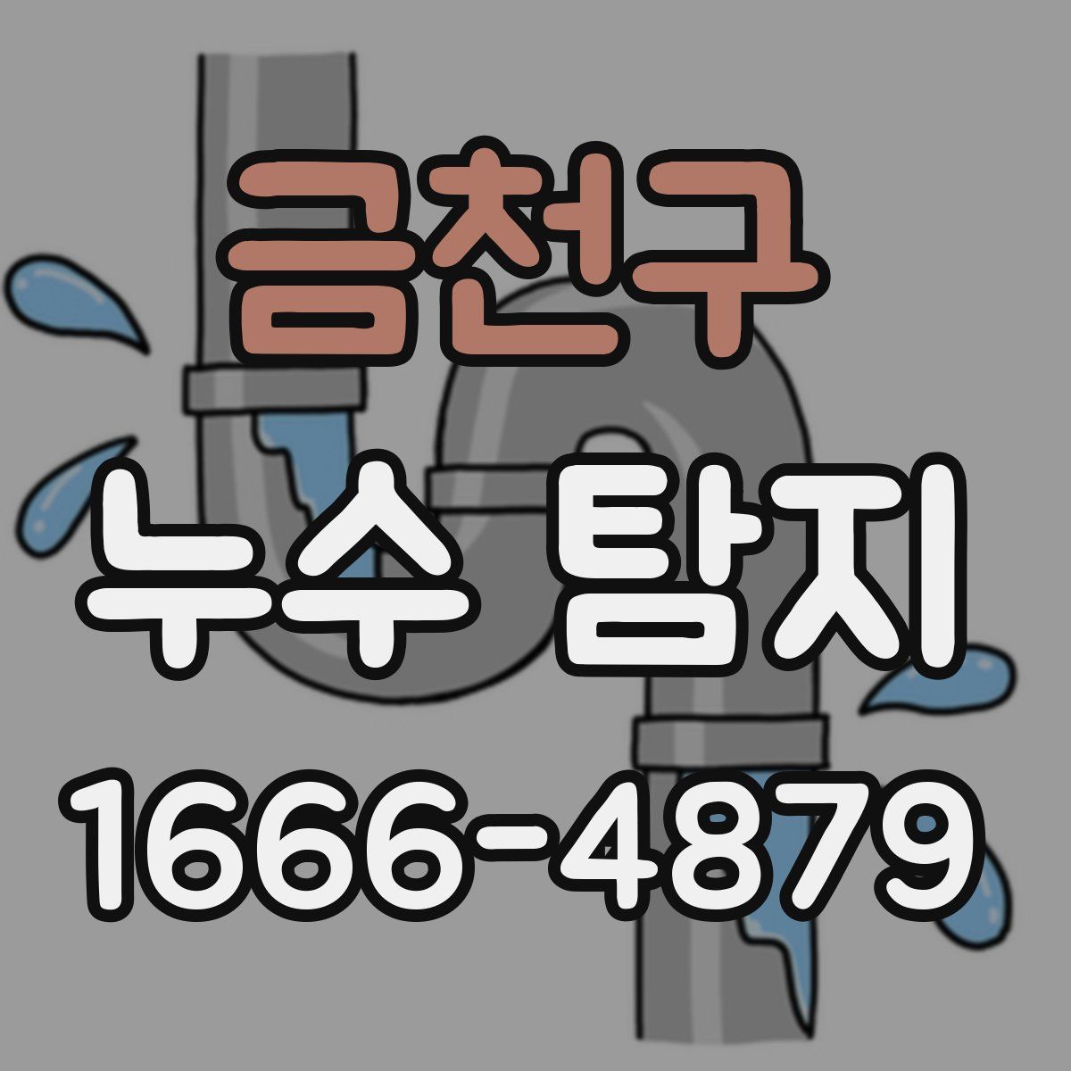 금천구 누수 탐지