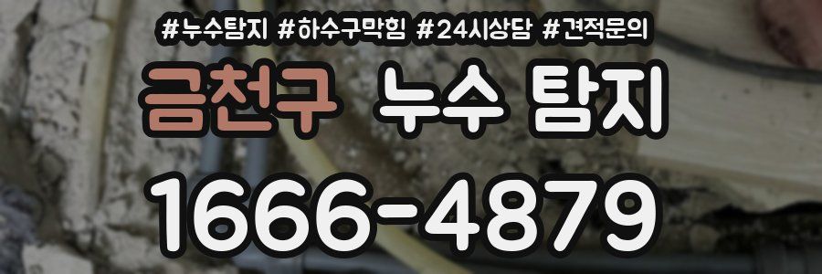 금천구 누수 탐지