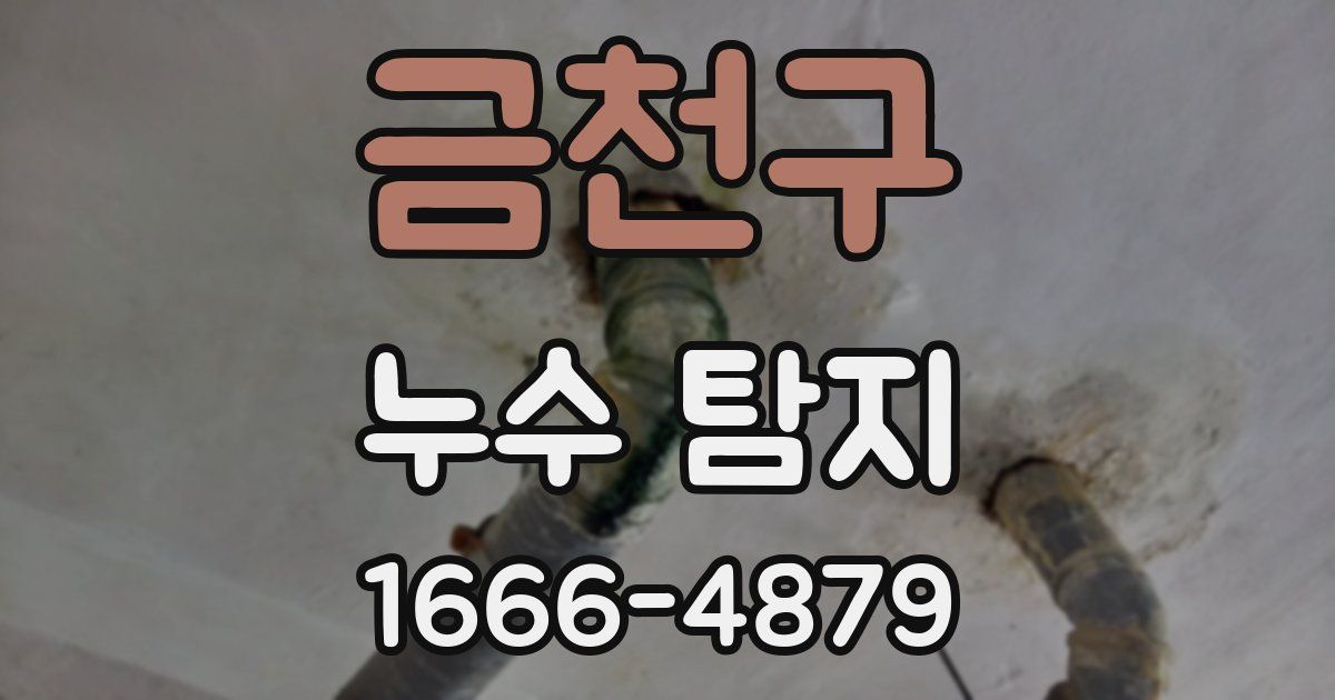 금천구 누수 탐지