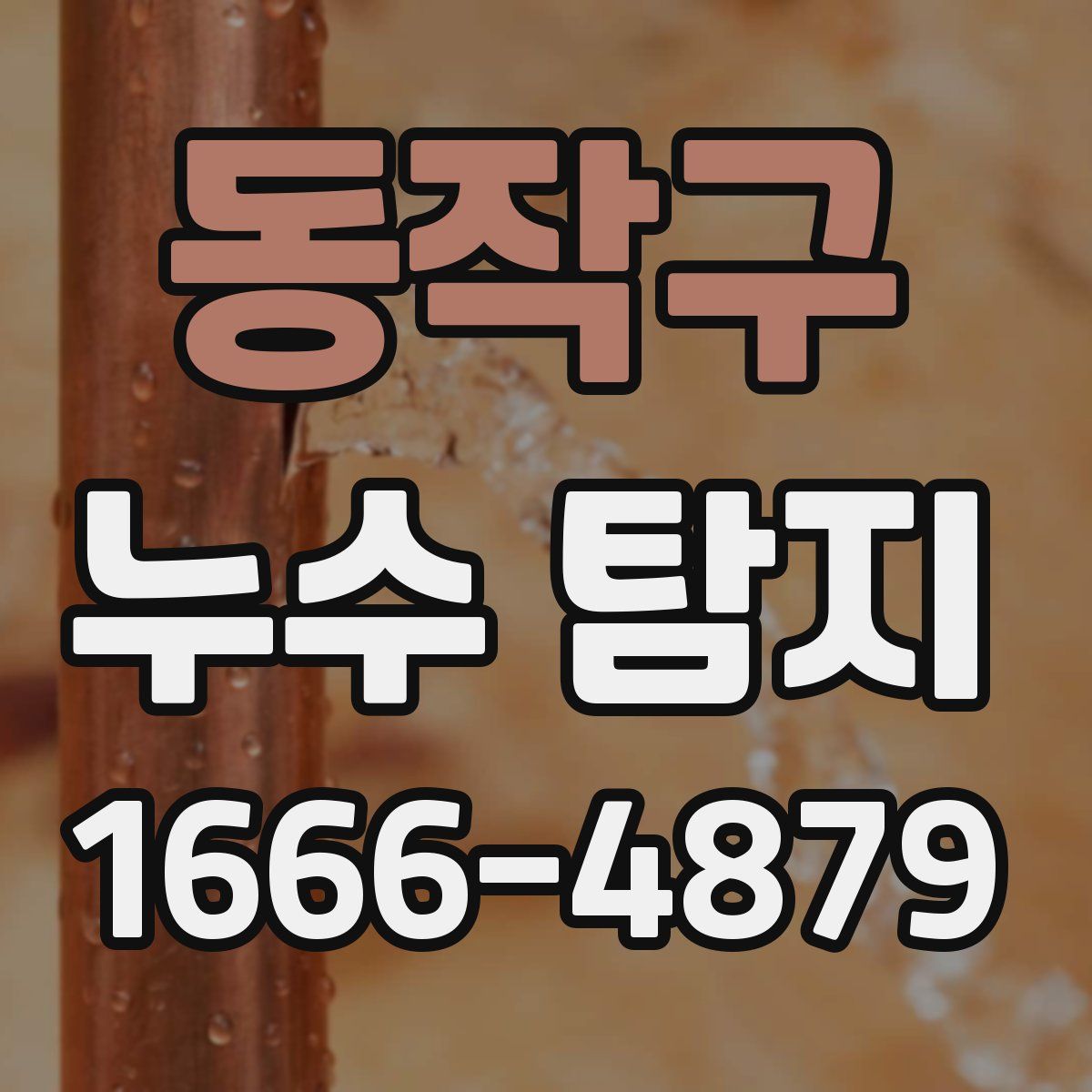 동작구 누수 탐지