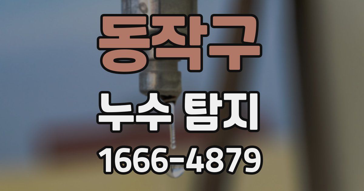 동작구 누수 탐지