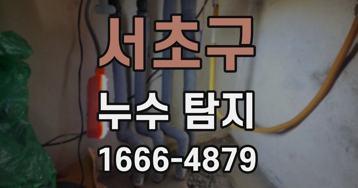 서초구 누수 탐지