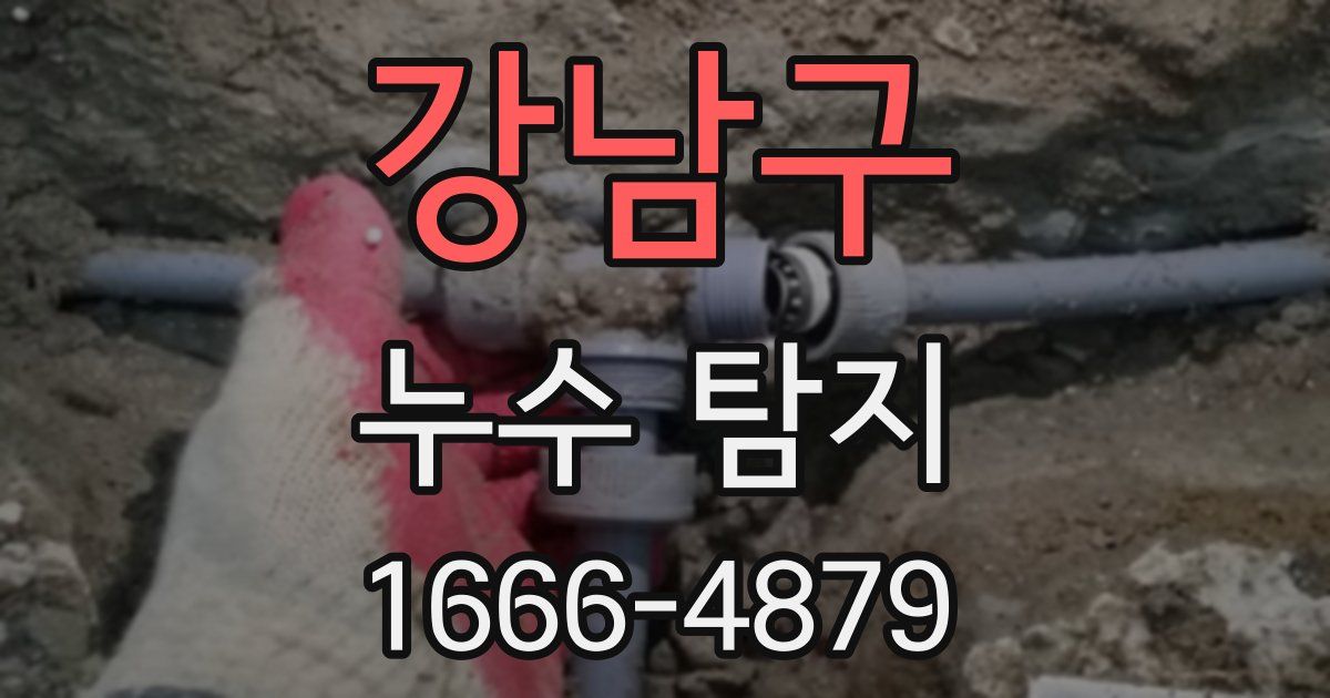 강남구 누수 탐지