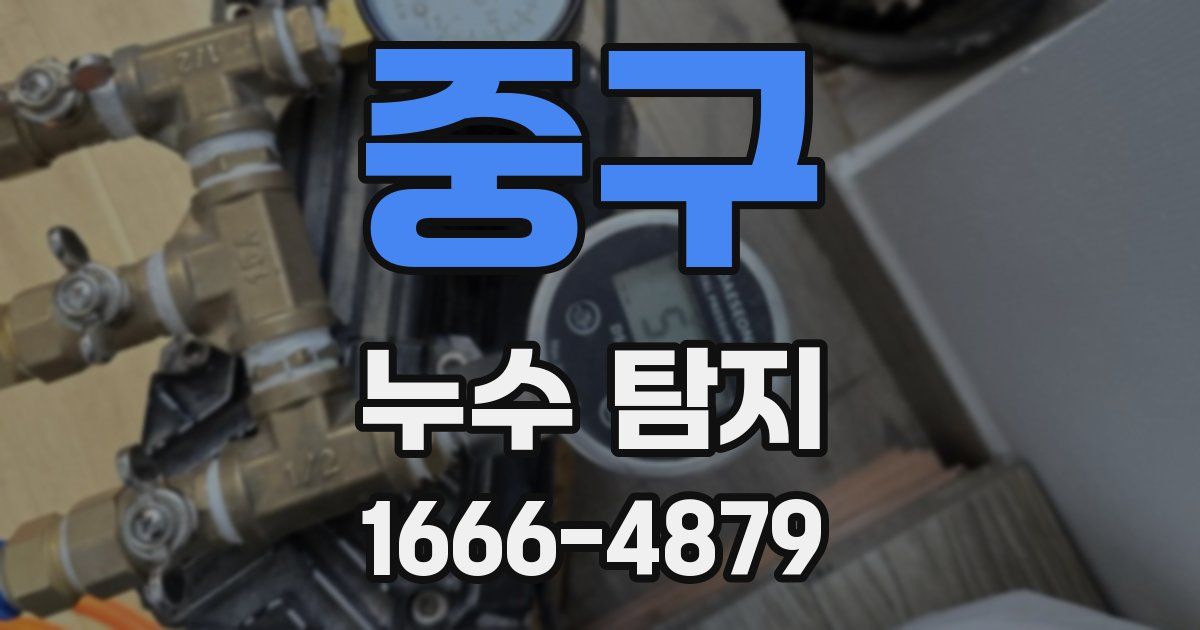 중구 누수 탐지