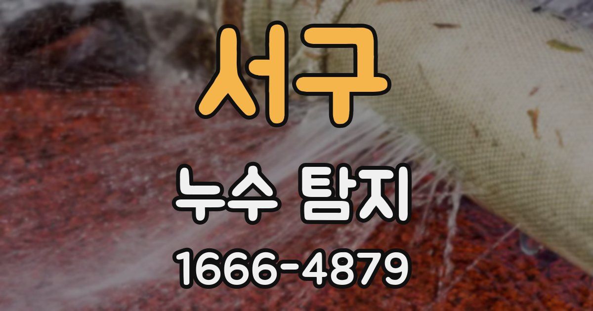 서구 누수 탐지