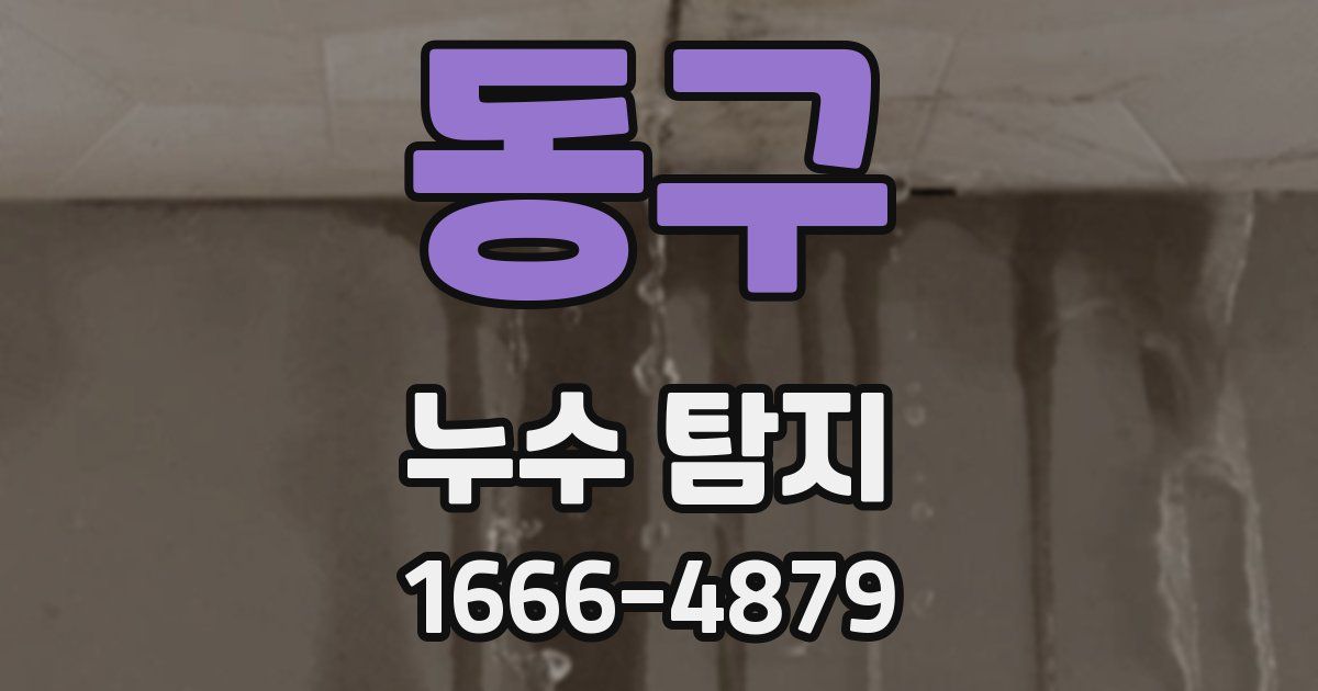 동구 누수 탐지