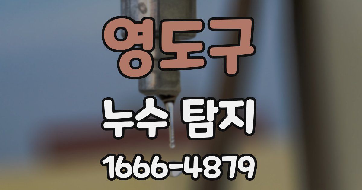 영도구 누수 탐지