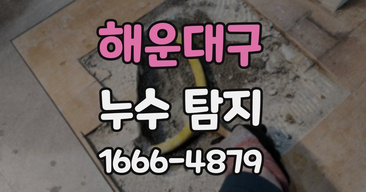 해운대구 누수 탐지