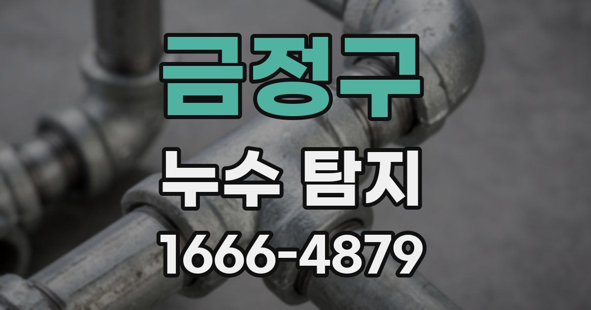 금정구 누수 탐지
