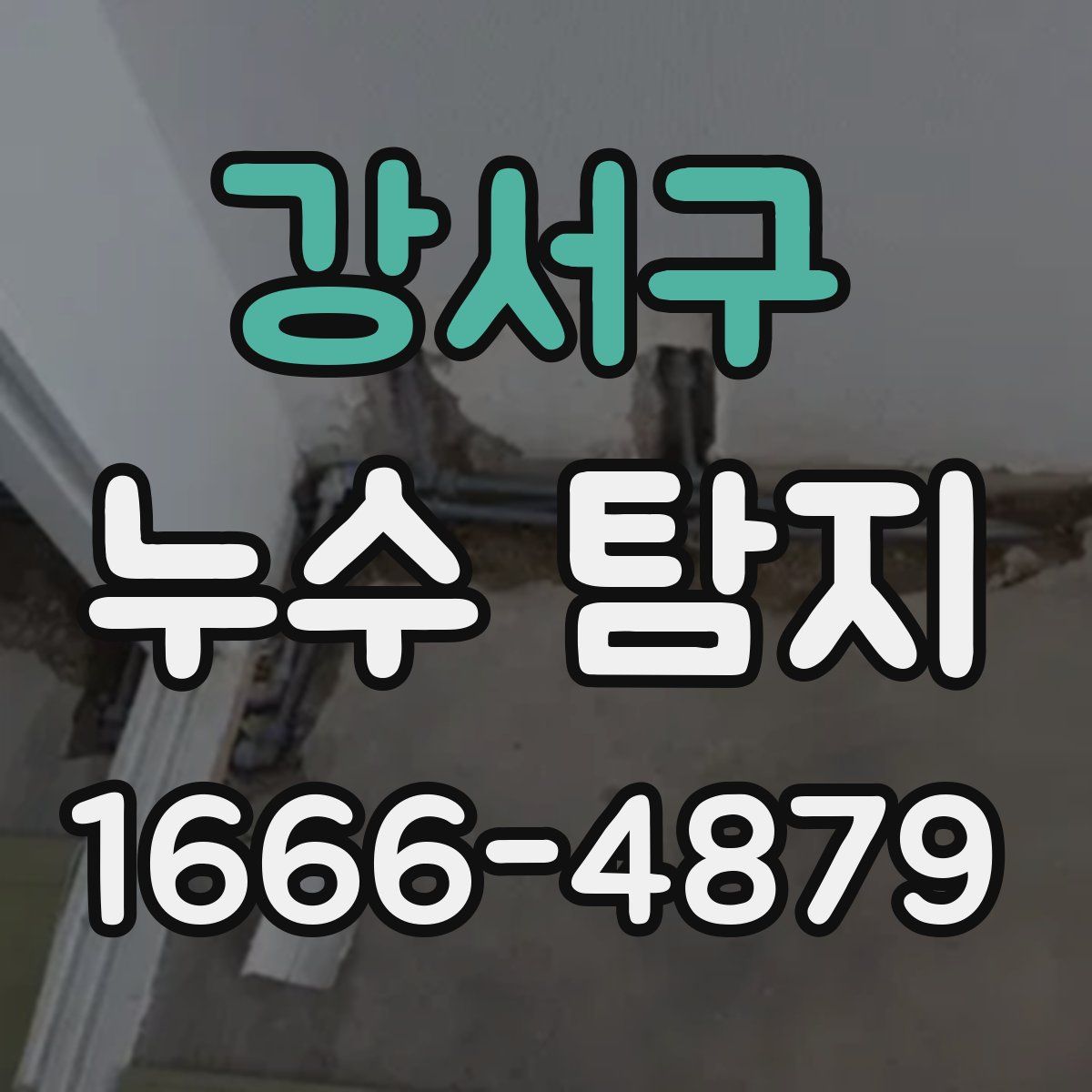 강서구 누수 탐지