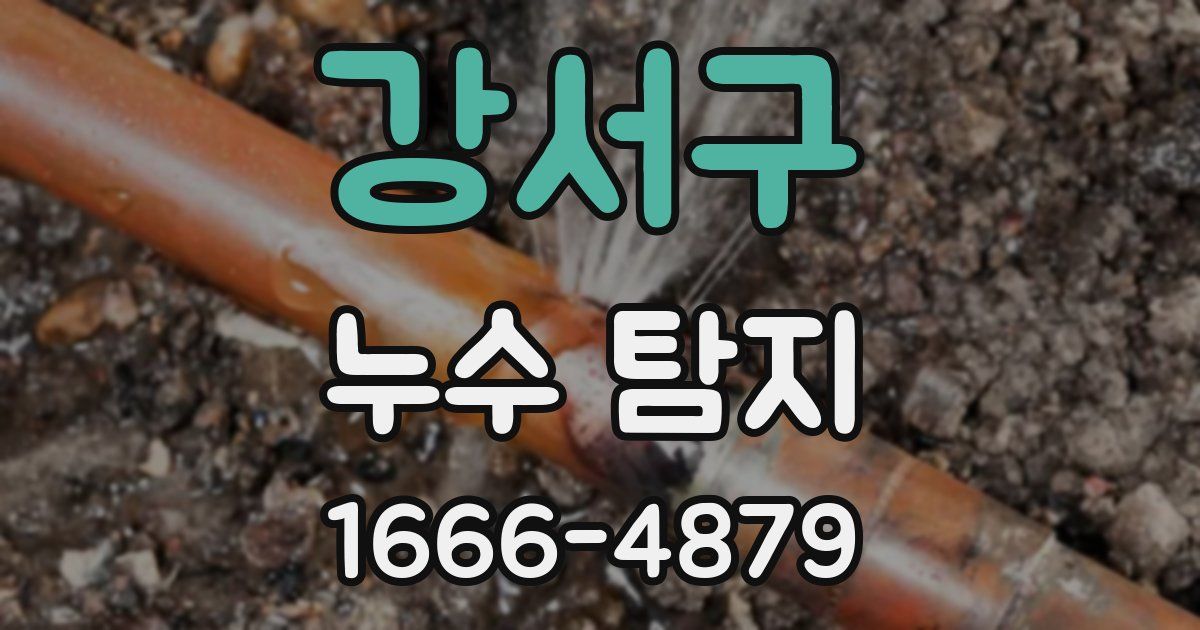 강서구 누수 탐지