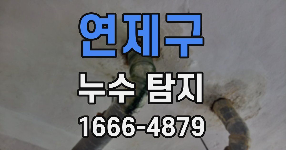 연제구 누수 탐지