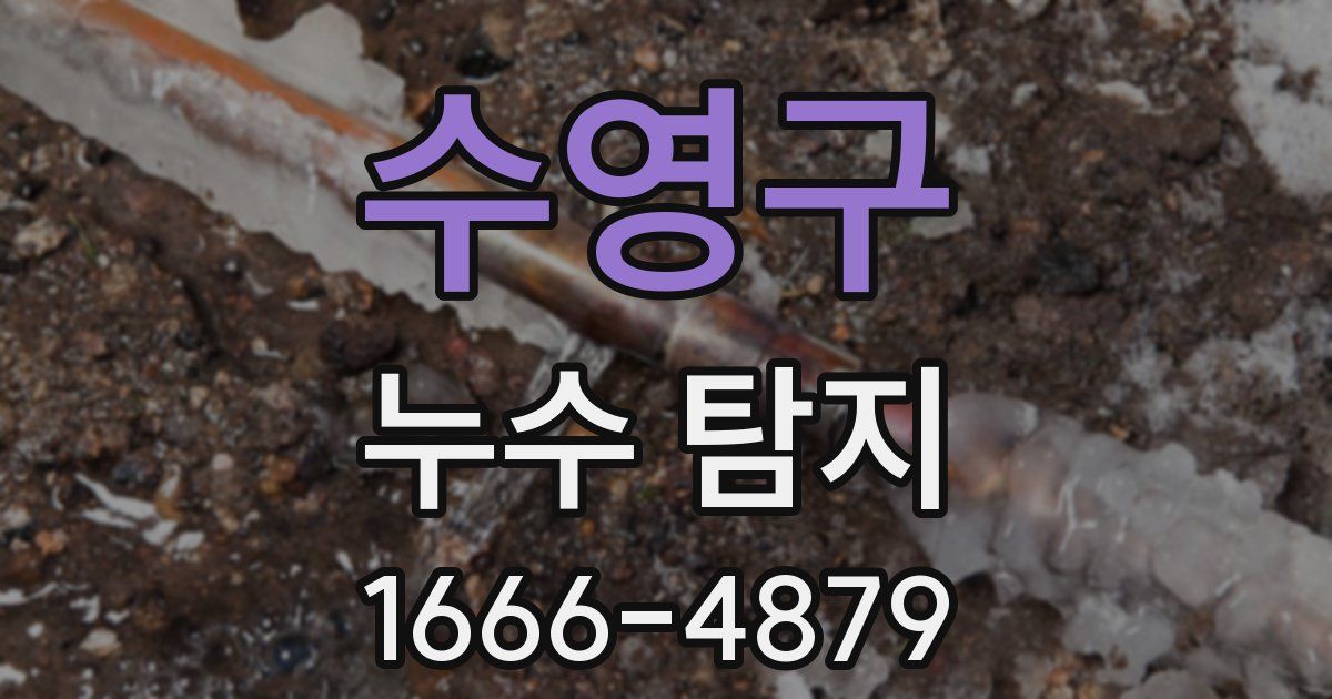 수영구 누수 탐지