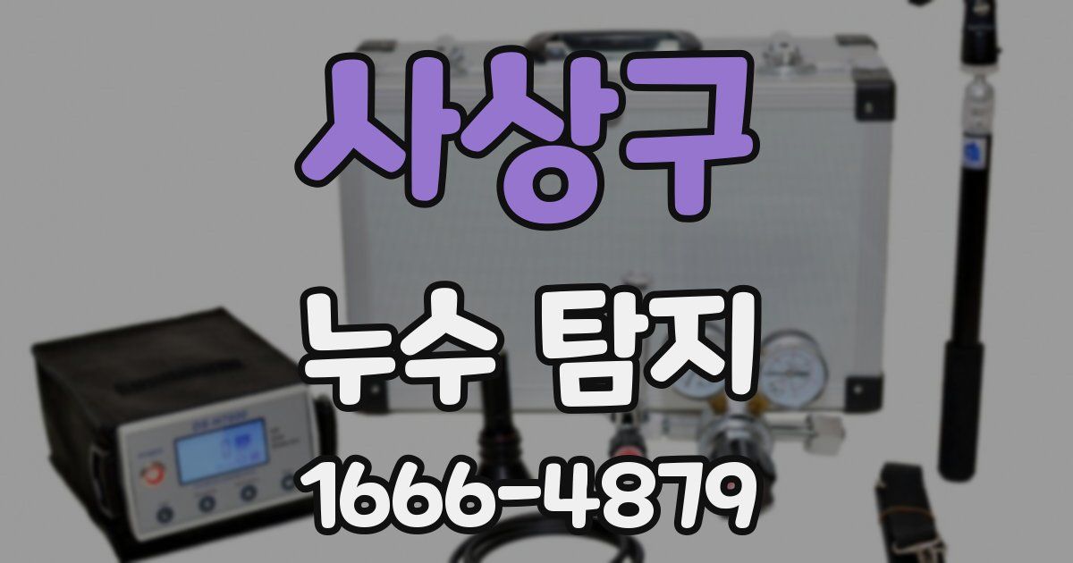 사상구 누수 탐지