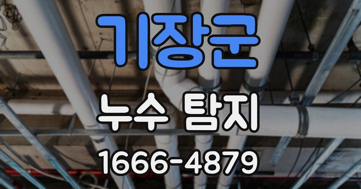 기장군 누수 탐지