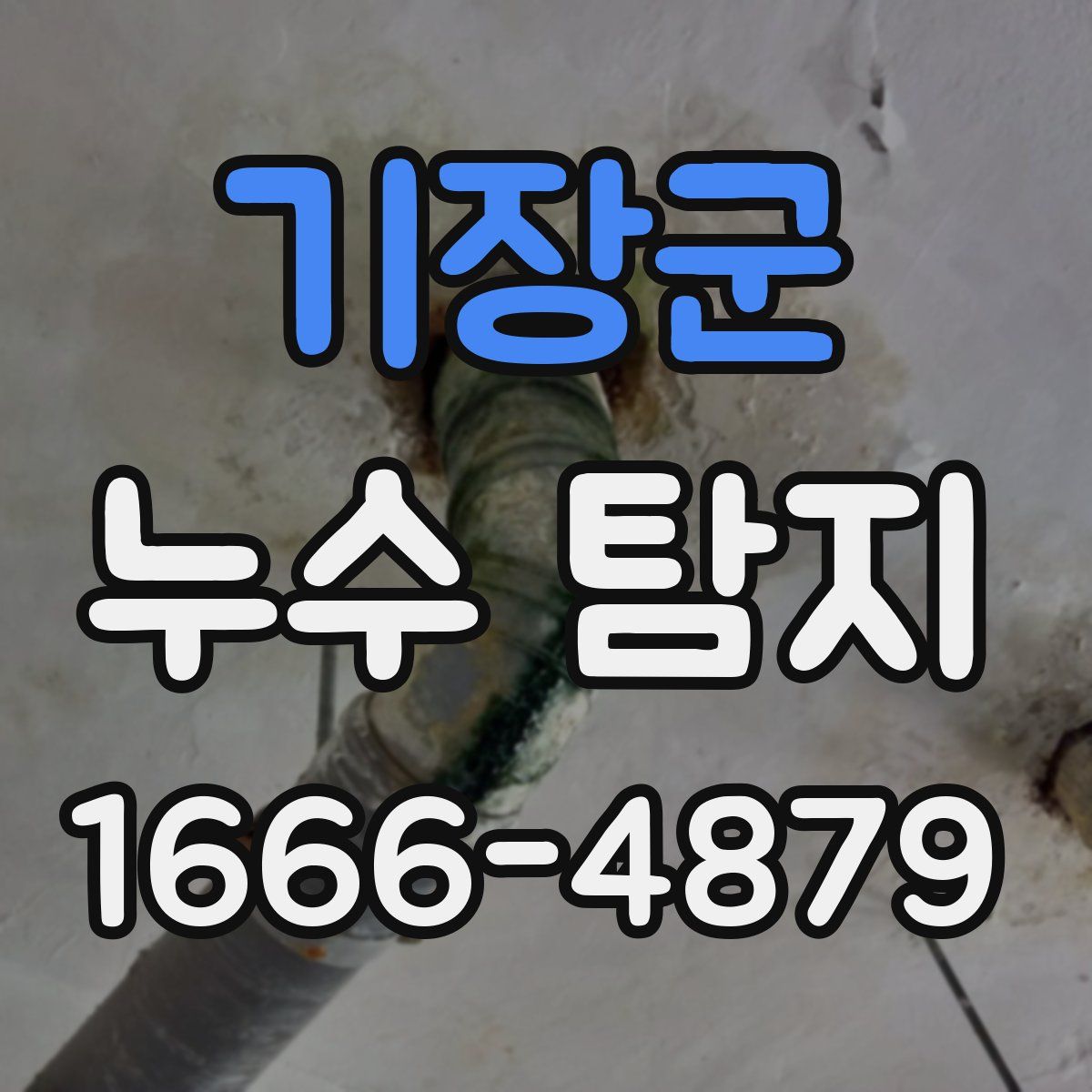 기장군 누수 탐지