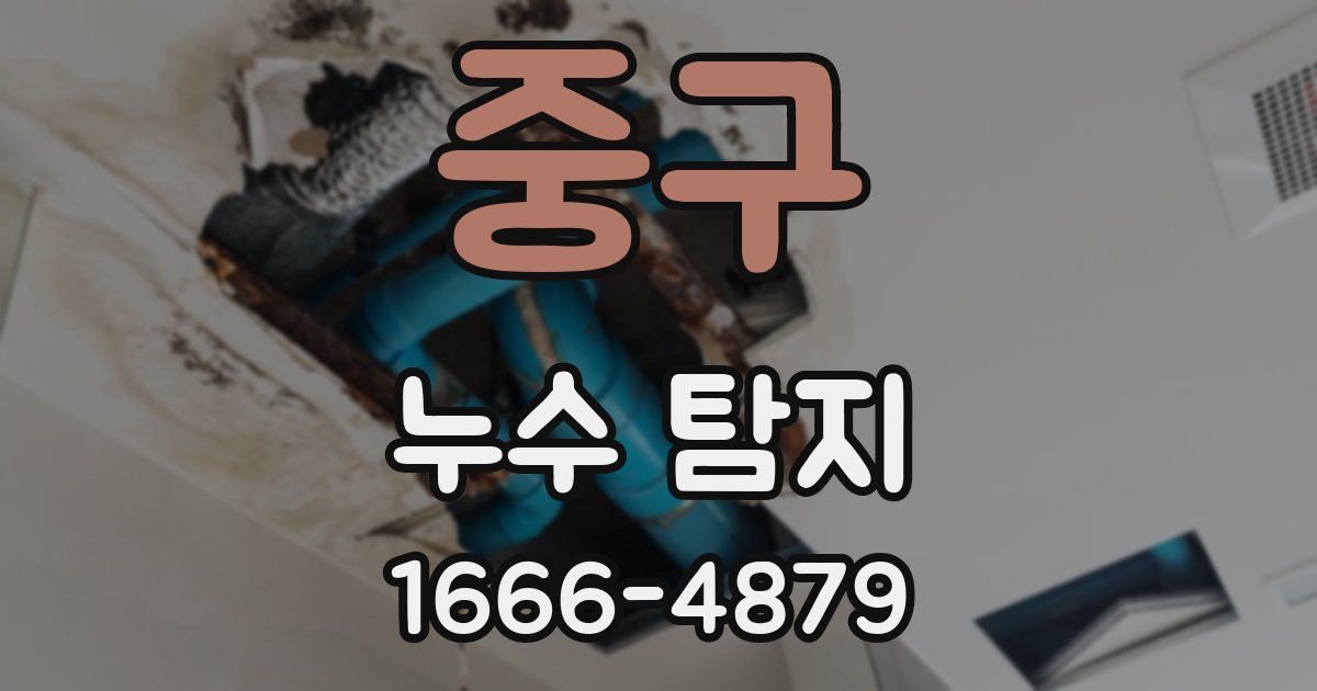 중구 누수 탐지