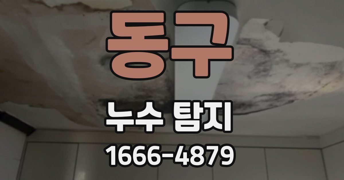 동구 누수 탐지