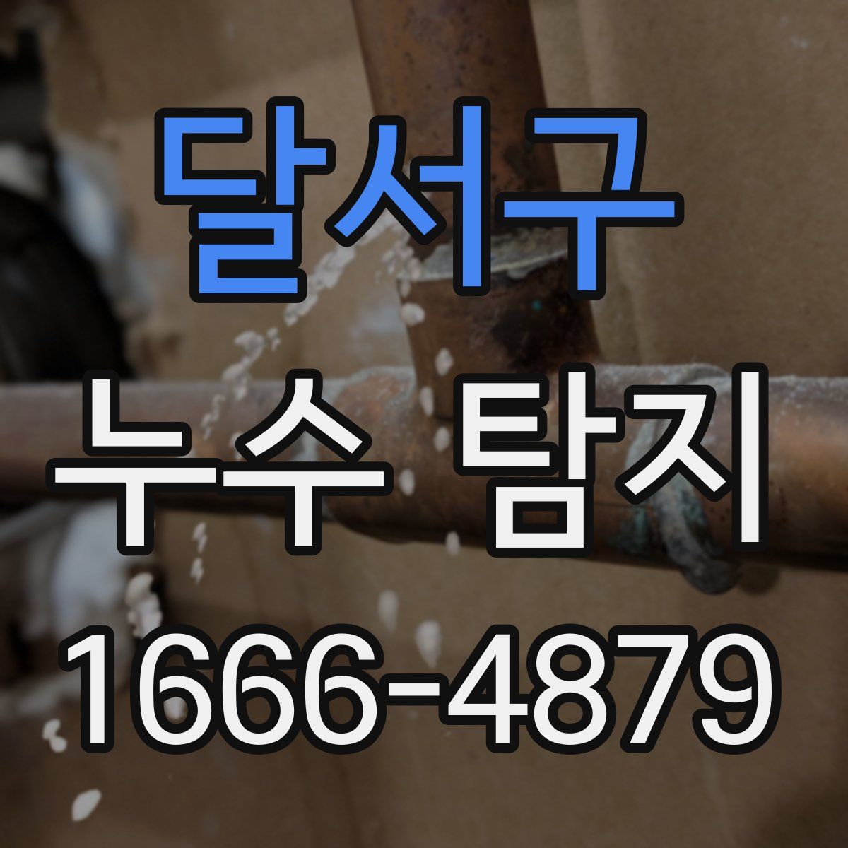 달서구 누수 탐지